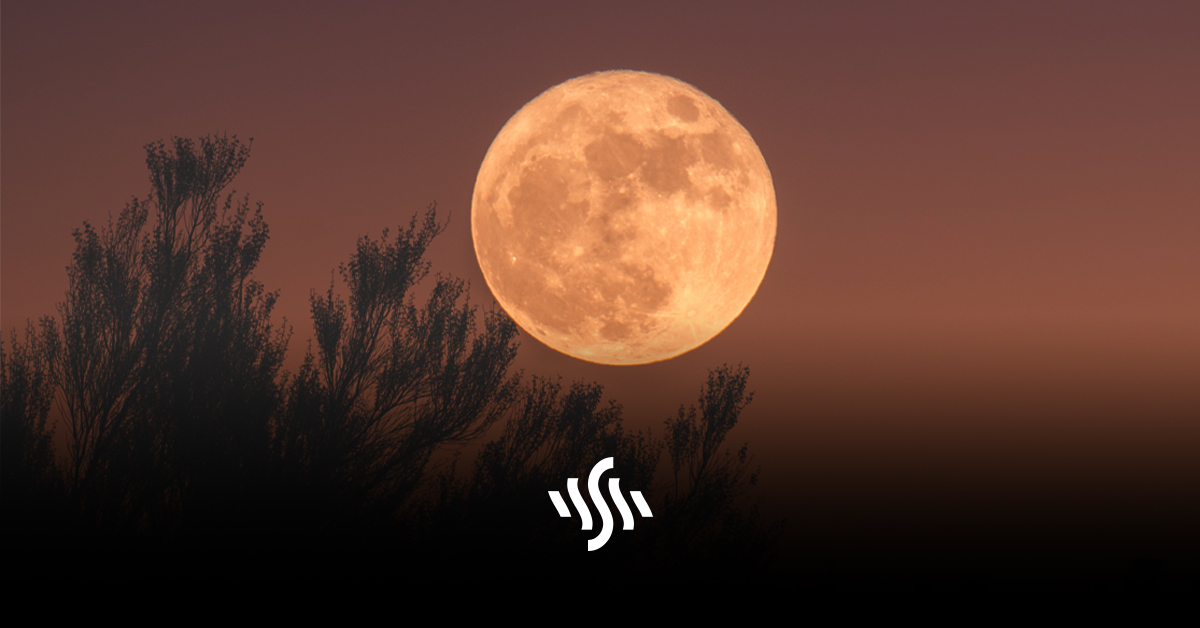 Harvest Moon | How to Photograph a Lunar Phenomenon