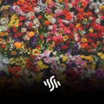 Synchedin Spotlight | Flowers by Sarah Molly