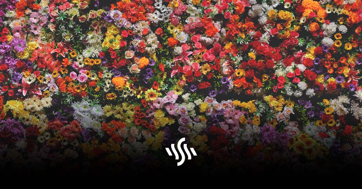 Synchedin Spotlight | Flowers by Sarah Molly