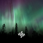 Synchedin Spotlight | Northern Lights by Vexento