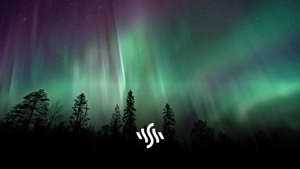 Synchedin Spotlight | Northern Lights by Vexento