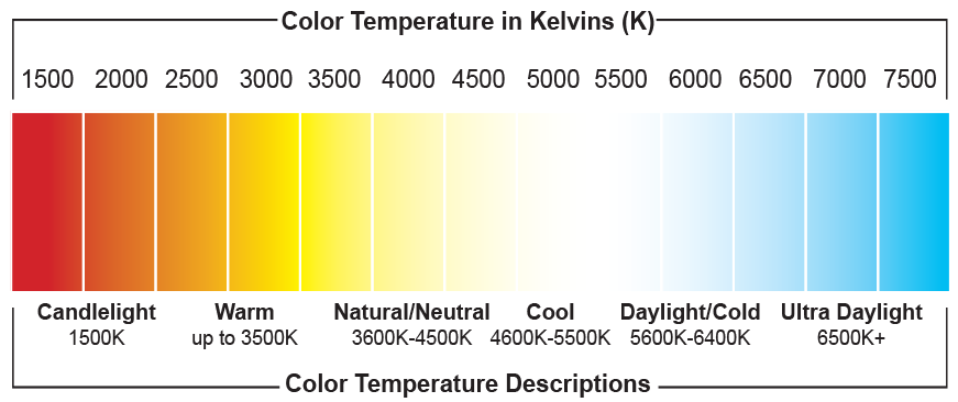 Let's Talk Color Temperature