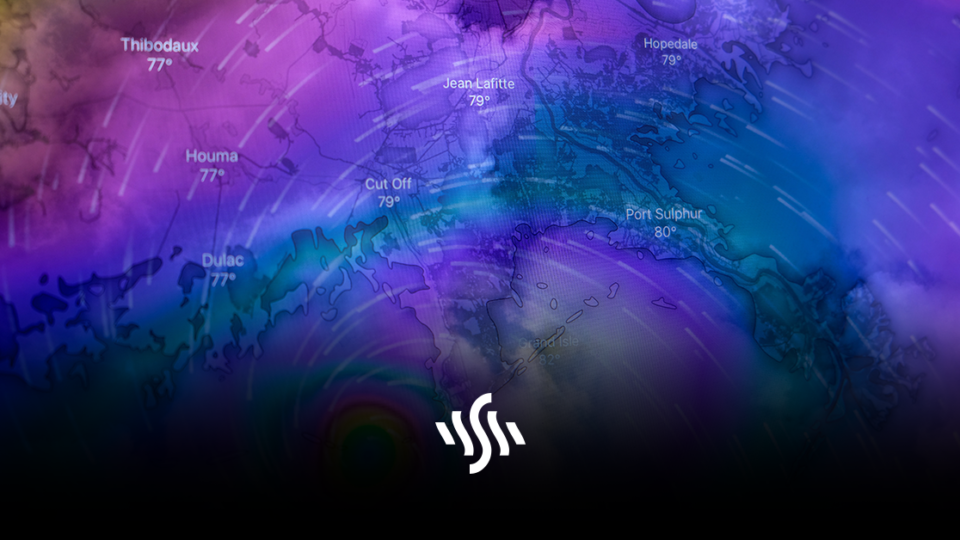 Synchedin Spotlight | Local Forecast by Kevin MacLeod