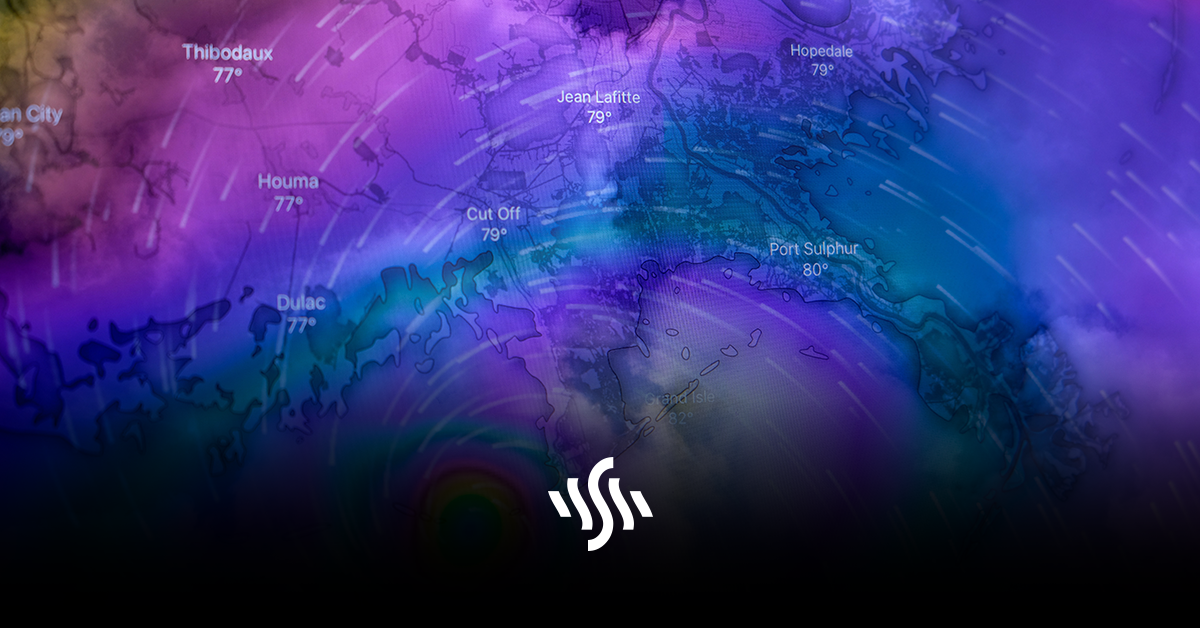 Synchedin Spotlight | Local Forecast by Kevin MacLeod