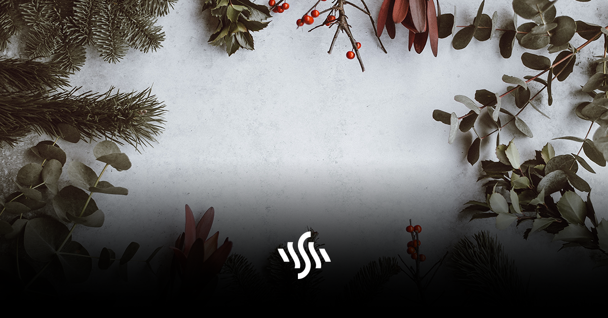 Synchedin Spotlight | Christmas Snowflake Waltz