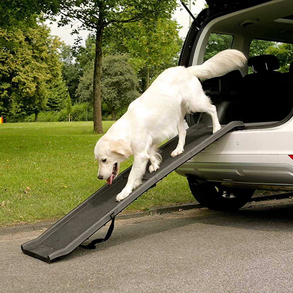 ramp to get dog in car