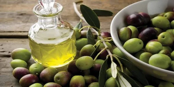 توقعات بإنتاج 954 ألف طن من الزيتون خلال الموسم الحالي