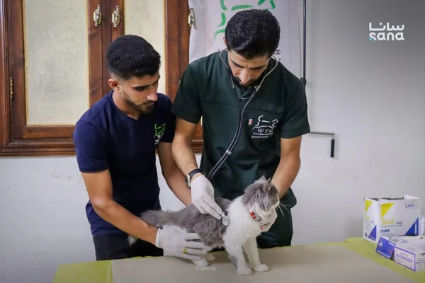 حملة بيطرية مجانية لخدمة الحيوانات الأليفة في محافظة حمص