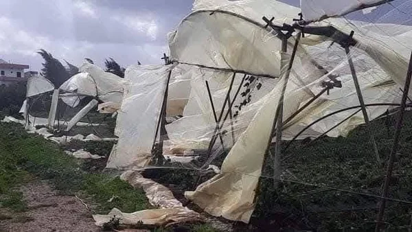 مديرية زراعة طرطوس تحصي خسائر الكوارث وتضع خططاً لمواجهتها