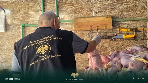 ضبط مسلخ غير مرخص لذبح الدواجن النافقة في حماة