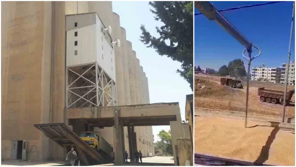 بدء استلام محصول القمح في صوامع محافظة درعا السورية