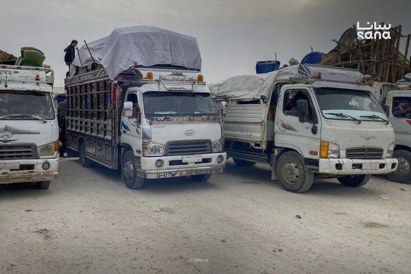 عودة 358 عائلة مهجرة إلى رأس العين في الحسكة
