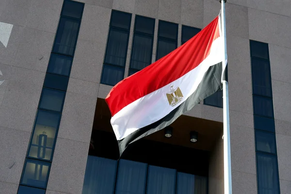 مصر تدين التوغلات الإسرائيلية داخل الأراضي السورية وتعتبرها خرقاً دولياً