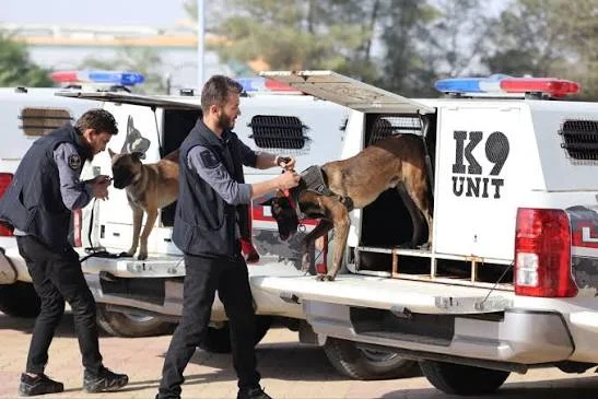 الجمارك السورية تنظم آلية عمل وحدات الكلاب البوليسية K9