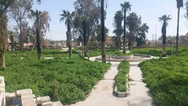 شباب الحسكة يعيدون الحياة لحديقة الخابور بجهود تطوعية