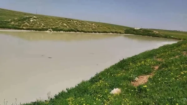 تحذيرات من كارثة بيئية في سد "سوحا" بريف حماة بسبب معامل الألبان