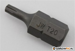 BIT 10mm Torx T20