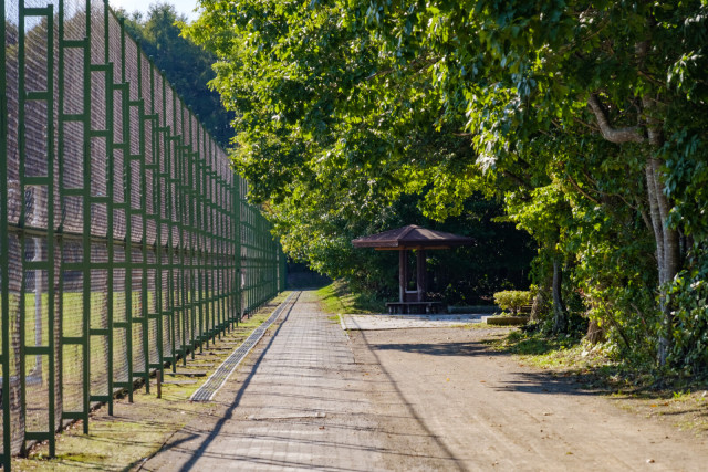 青葉公園(青葉公園ピクニック広場)