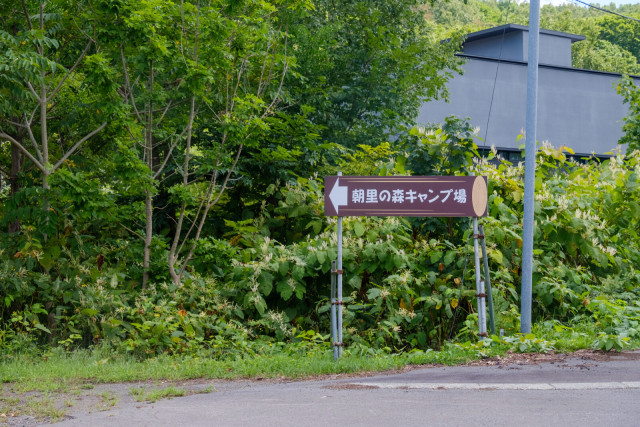 朝里の森キャンプ場