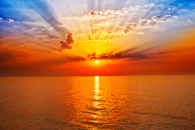 rise