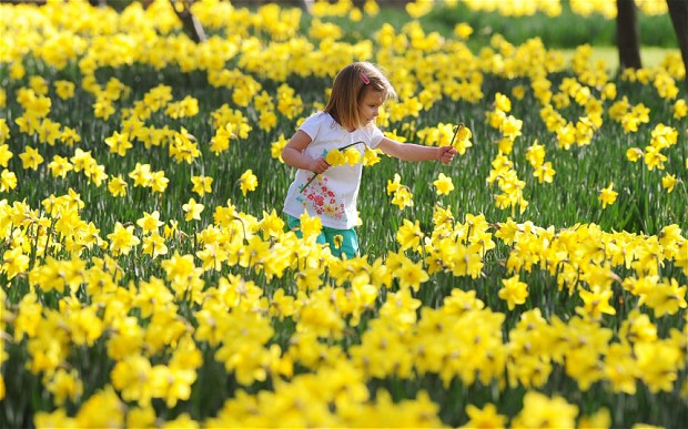 spring