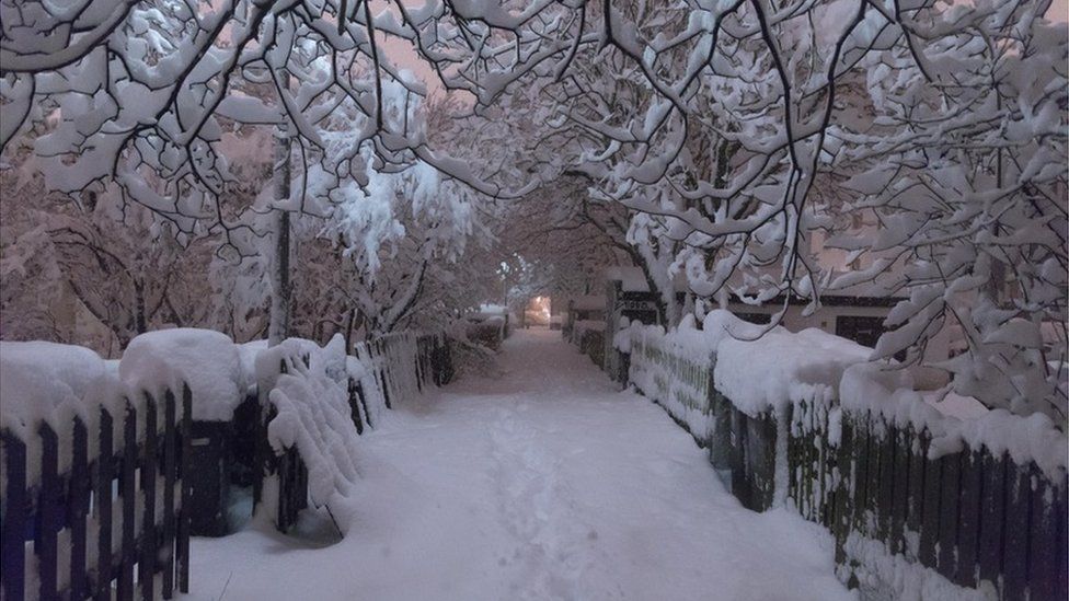 winter