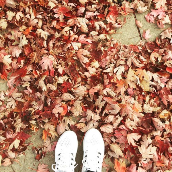 season