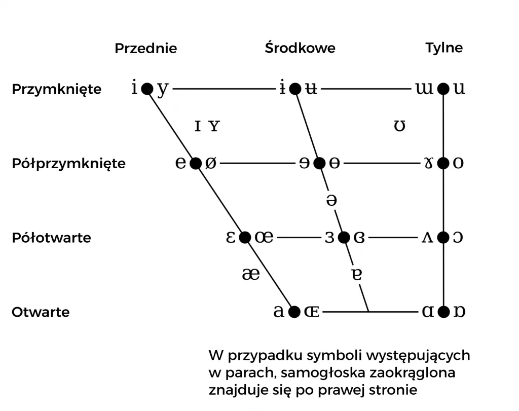 IPA vowel chart: vowels arranged on a quadrilateral by tongue position