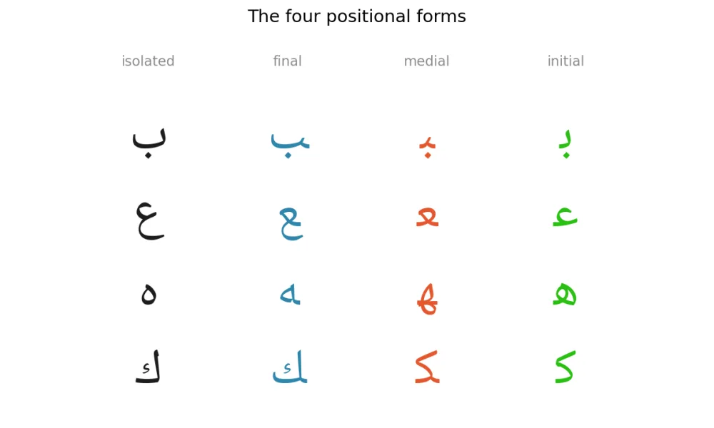 The four positional forms of ب, ع, ه and ك: isolated, final, medial and initial, read from right to left