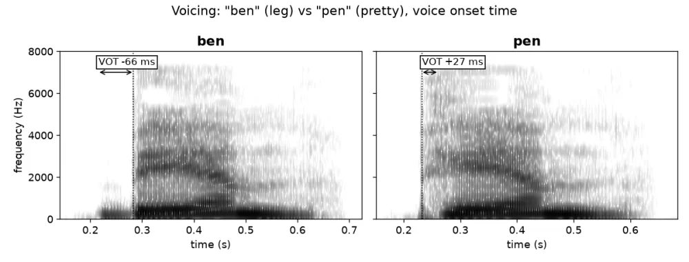 Spectrograms of ben and pen: ben is prevoiced (VOT minus 66 ms), pen is aspirated (VOT plus 27 ms)
