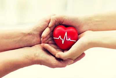 عمار عبد الواحد الحسيني
