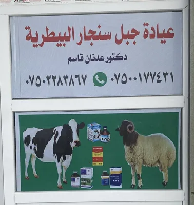 عيادة جبل سنجار البيطرية