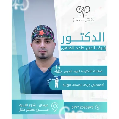 شرف الدين حامد الصافي