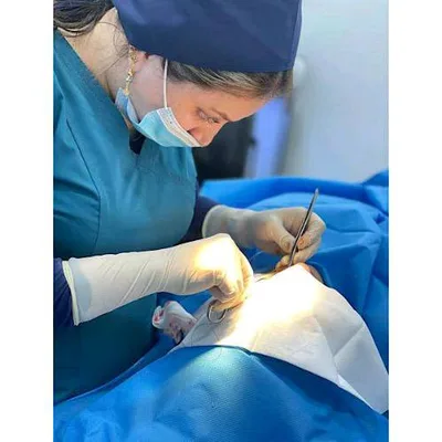 رشا عباس فاضل