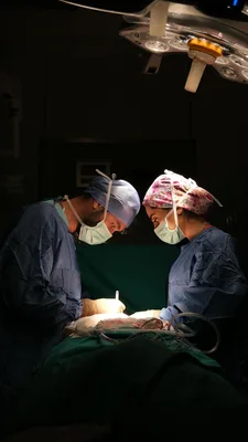 دكتور احمد الحجاج