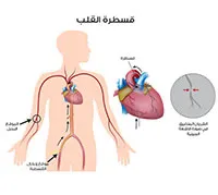 عمار سيد ياسين الرفاعي