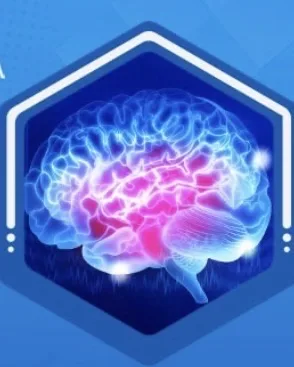 صفاء داخل الجمالي