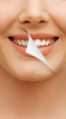 دكتور علي شياع المالكي