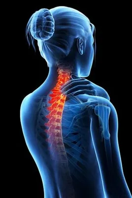 دكتور جاسم غضبان الاسدي