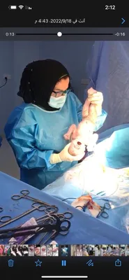 زبيدة العوادي