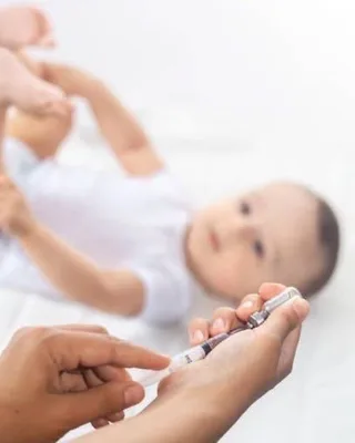عمار علي الموالي