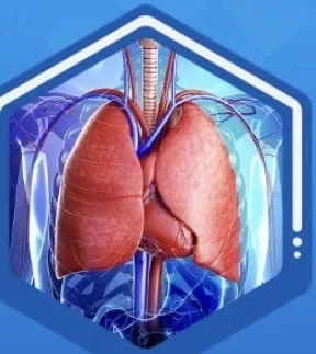 مخلص تركي عبد الكاظم