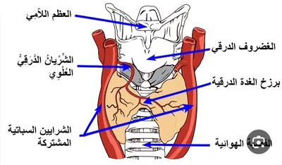 محمد عدنان الجابري