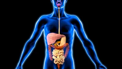 عبدالله عادل رؤوف - الطب الباطني