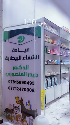 حيدر المنصوري