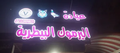 علي زكريا يحيى