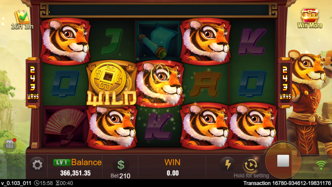 Master Tiger Screenshot