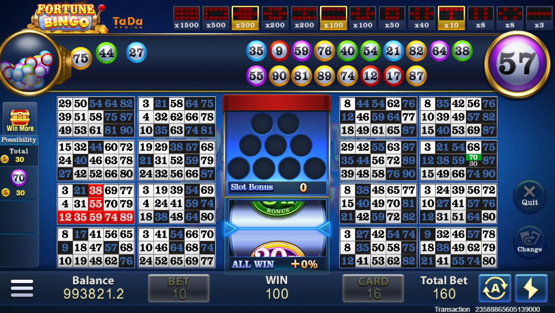 Fortune Bingo Screenshot