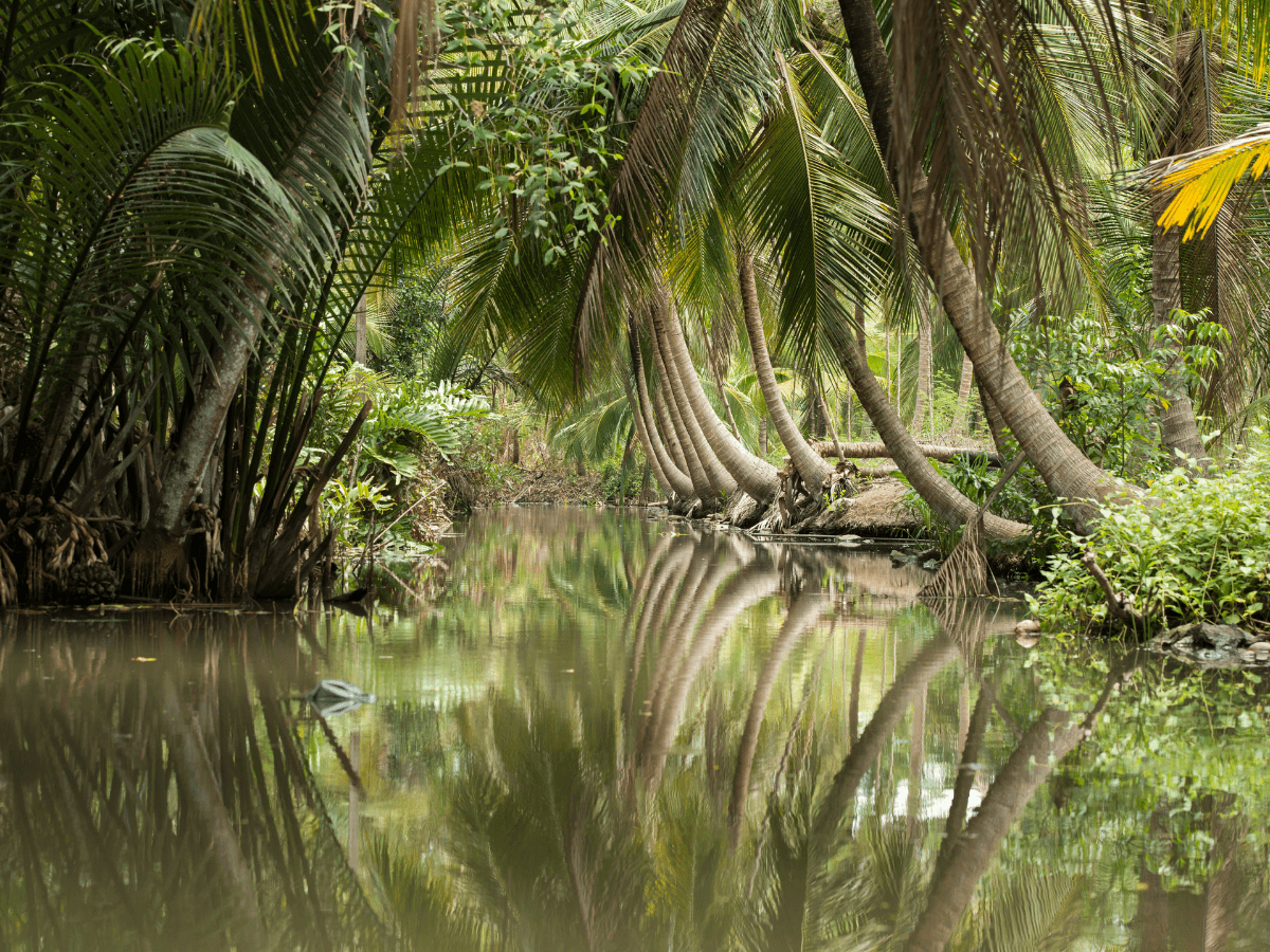 Samut Songkhram Attractions