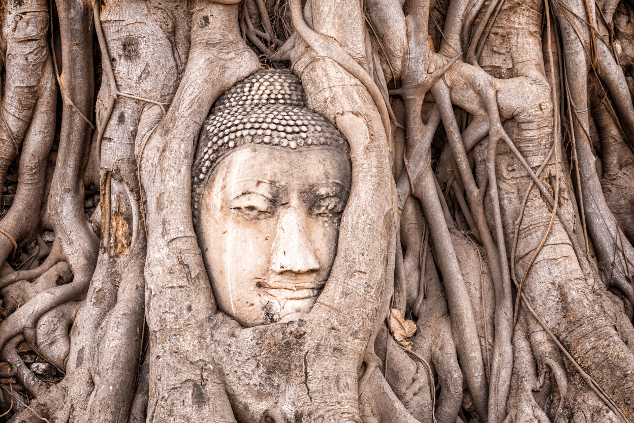 วัดมหาธาตุ อยุธยา